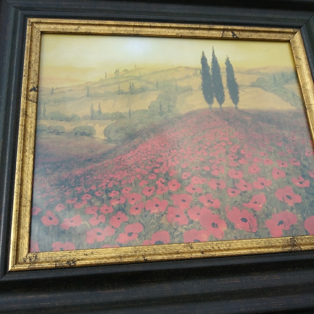 Small framed pic